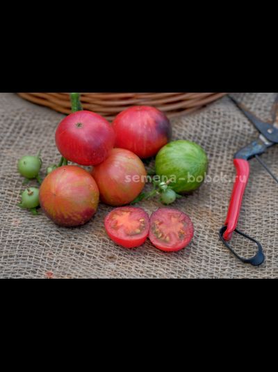 Томат Dwarf Gondwana Lightning (Гном Гондвана Молния), 10 шт