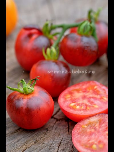 Томат Гондвана Тени, 10 шт