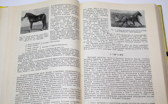 Руководство по разведению животных. Том 3. Породы. Кн. 1. Породы лошадей и крупного рогатого скота. М.: Колос. 1965.