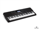 Картинка CASIO CT-X700