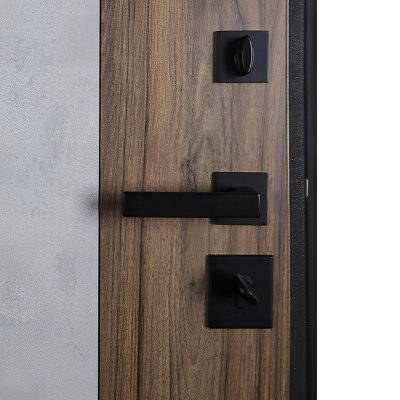 Стальная дверь   Avant. Заказная модель.