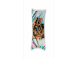 Дакимакуры год Кролика