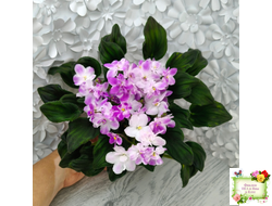 LV-Кирюша (Л. Шевелева) 2022 г. трейлер (клакамас)