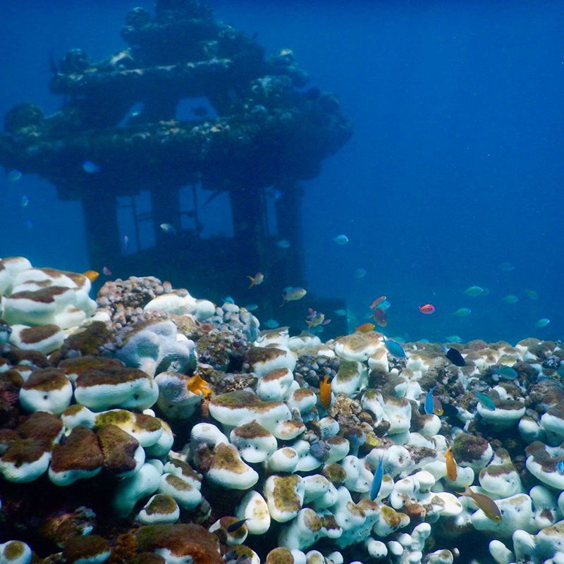 Тур по пляжам на Юге Бали