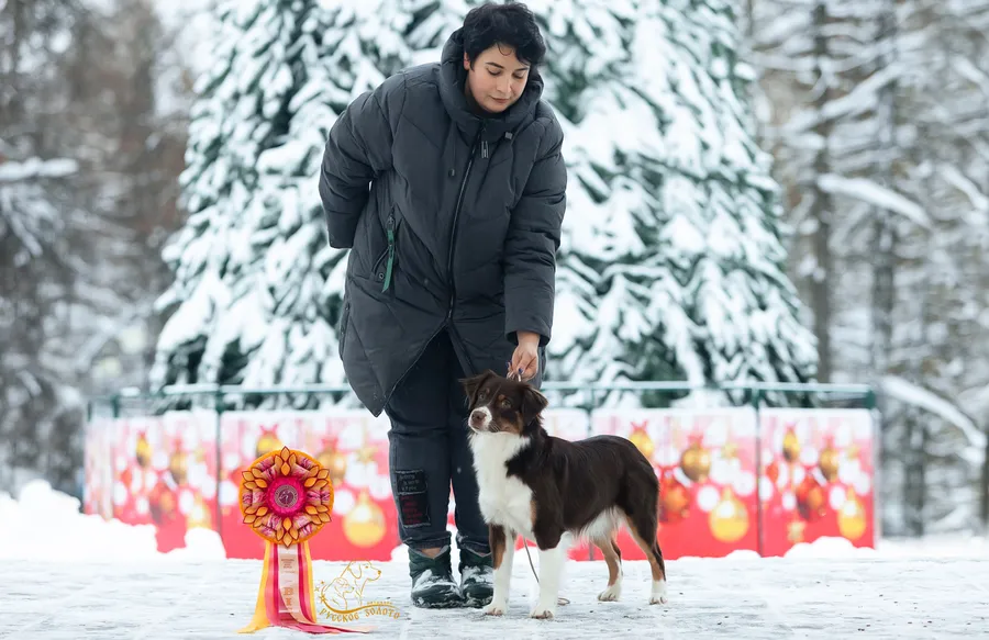 Юта, 8 мес. Впервые на выставках.
