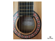 Картинка гитары с нейлоновыми струнами COLOMBO LC - 3910 N