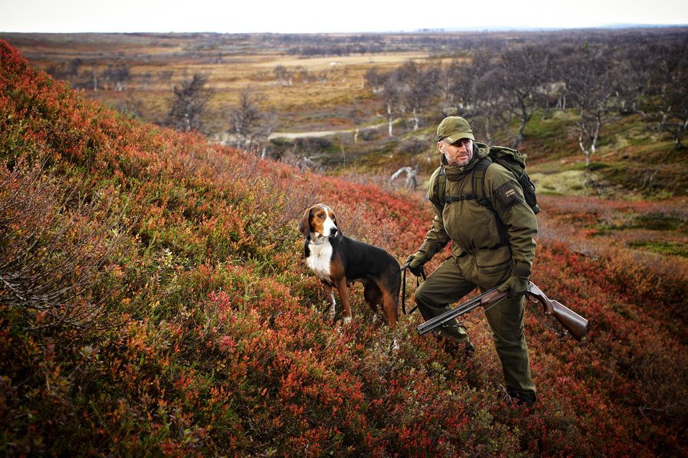 Хантинг сотрудников. Хантинг про. Elite hunting. Хантинг про. Оленья охота.