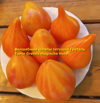 Томат Волшебные шляпы тетушки Гретель (Tante Gretels magische Hute)
