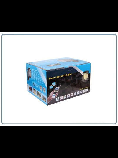 Уличная WiFi/LAN охранная видеокамера + фонарь с аудио каналом (дуплекс), с DVR. Full HD (Homsca Light)