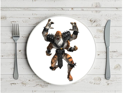 Тарелка Мортал Комбат, Mortal Kombat №41