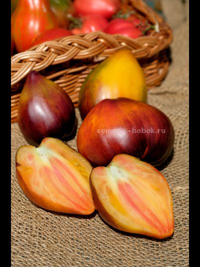 Томат Ананасный Сержант, 10 шт