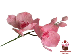 Украшение сахарное Орхидея малая без листьев, МИНИ 12см