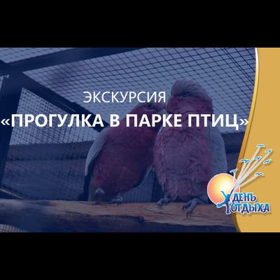 Экскурсия "Прогулка в парке птиц"