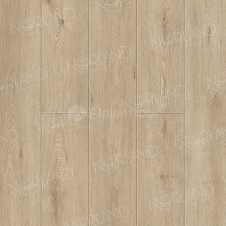 Abbi 1006-1