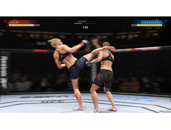 Игра EA Sports UFC 4 (PS4)