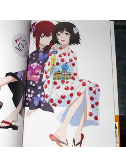 Оригинальный Арт Бук Steins;Gate Soushisouai no True Memories (Врата; Штейна)