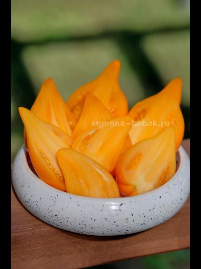 Томат Заилийский Алатау Желтый, 10 шт