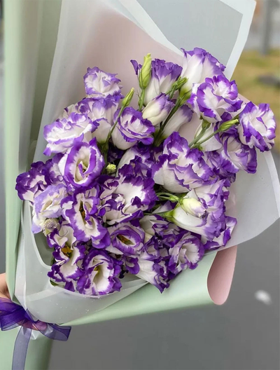 Букет махровых эустом (цвет на выбор)