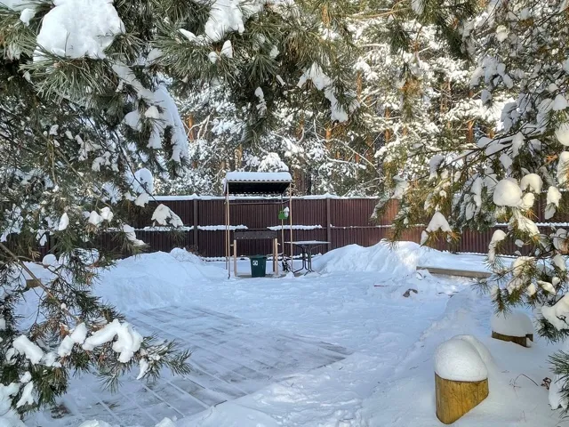 мангальная зона 2