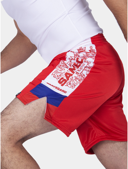 Шорты самбо BRAVEGARD ПАТРИОТ красные