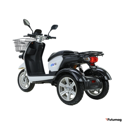 Трехколесный электроскутер Рорикс ET-R 120