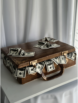 Чемодан с деньгами