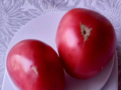 Томат Яйцо Быка с реки Гуадаррама (Huevo Toro Del Rio Guadarrama)