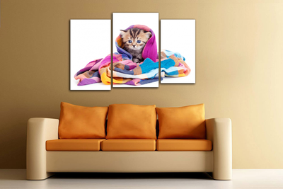 Модульная картина "Котенок в шали"
