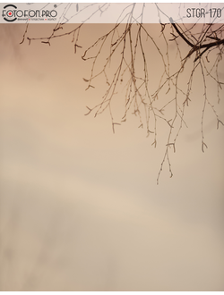 Фотофон на холсте «Карамель»