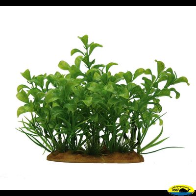 1160105-АRТ Людвигия 15см. иск.рас.