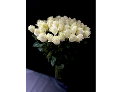 Роза Эквадор белая Мондиаль 60 см. 51 шт