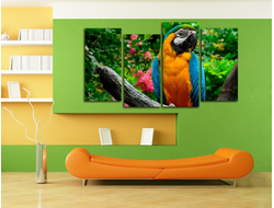 Модульная картина "Попугай"