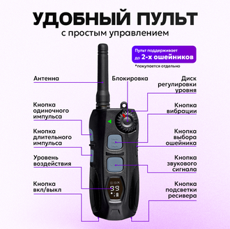 Электронный ошейник для собак DT4200