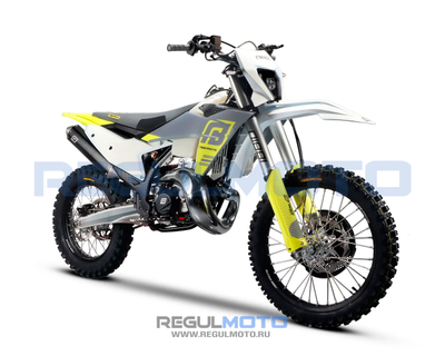 Regulmoto NIBBI TE N300-SR 2T
