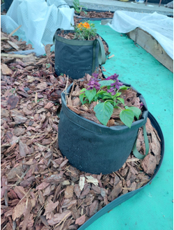 Кашпо 21 литра. Умный тканевый горшок Гроубэг