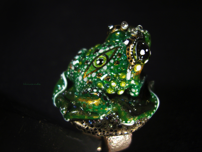 Коллекционный перстень "Леди Квакша Invidia"