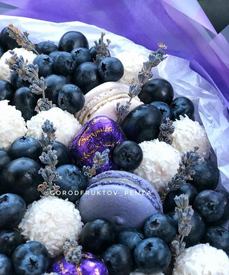 Прованские сны