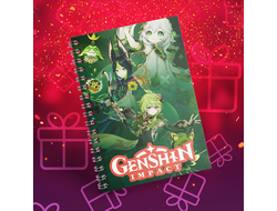 Тетрадь Genshin Impact, Геншин Импакт №20