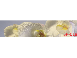 SP-018 БЕЛО-ЖЕЛТАЯ ОРХИДЕЯ Глянцевая стеновая панель ALBICO 2800*610*6мм *