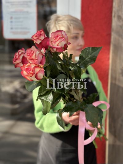 5 розовых эквадорских роз