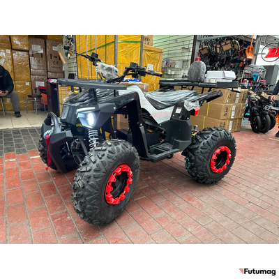 Электроквадроцикл Ikingi 225