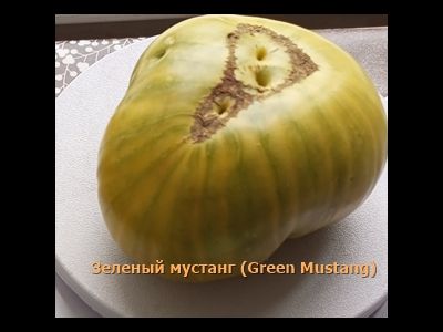 Томат Зеленый мустанг (Green Mustang)