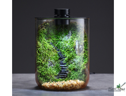 SwetAqua BIO Flor 150 - Емкость для создания флорариума, 150 х 190 мм
