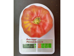 Томат Rose Hippo (Розовый бегемот)