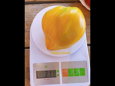 Томат Сердце пустыни