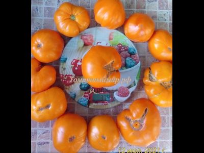 Томат Джамбо Джим оранжевый (Jumbo Jim Orange)