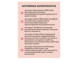 ВВ Шампунь-преображение волос  470 мл ВИТЕКС PERFECT HAIR Совершенные волосы