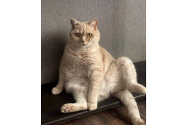 Кутилов А С "А вы были на Таити?"