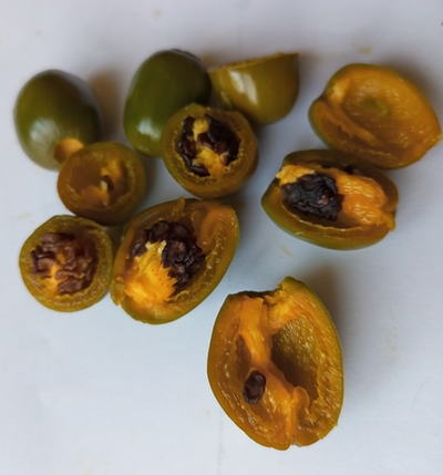 Перец острый Rocoto Mini Olive (Мини олива Рокото)