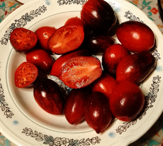 Семена томата Шеф-повар Поль Бокюз Гном / *нов 2025